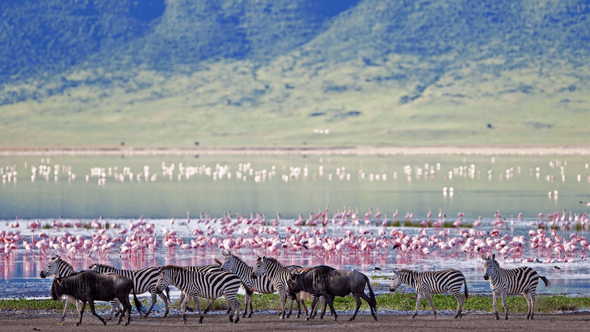 Honeymoon Safaris Packages 3 Ngorongoro Crater