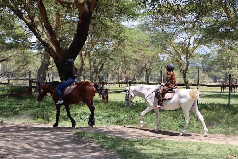 Best Kenya Itinerary 7 Days - Itinerary, Quote, & More 2 Kenya Itinerary 7 Days - MasaiMaraSafari.in