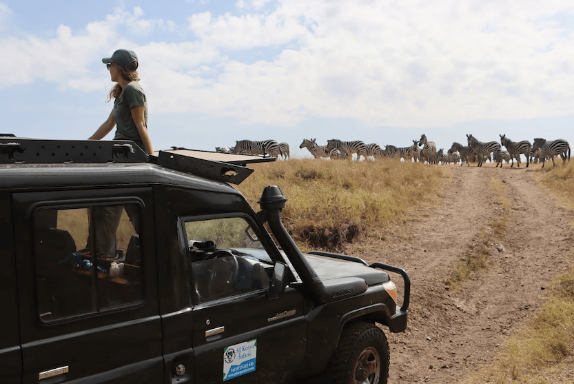 Nairobi National Park - Complete Guide, Quote, and More 1 6 Days Masai Mara Packages - MasaiMaraSafari.in