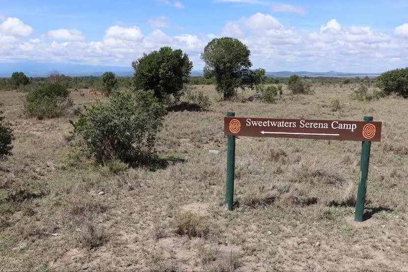 The Guide to African Safari - The Comprehensive Guide 4 Sweetwaters Serena Camp - MasaiMaraSafari.in