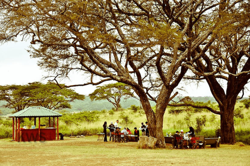 Nairobi National Park - Complete Guide, Quote, and More 4 Camping Site in Nairobi
