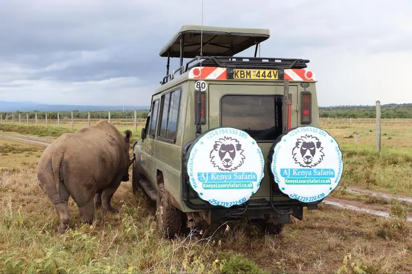 The Guide to African Safari - The Comprehensive Guide 1 African Safari - MasaiMaraSafari.in