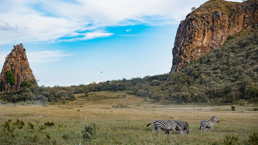 Kenya Wildlife Safari - Packages, Destinations, & More 29 AjKenyaSafaris.com-Masaimarasafari.in - Antelopes and Zebras