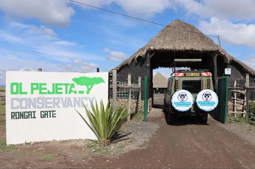 Kenya Wildlife Safari - Packages, Destinations, & More 10 AjKenyaSafaris.com-Masaimarasafari.in - Gate Ol Pejeta