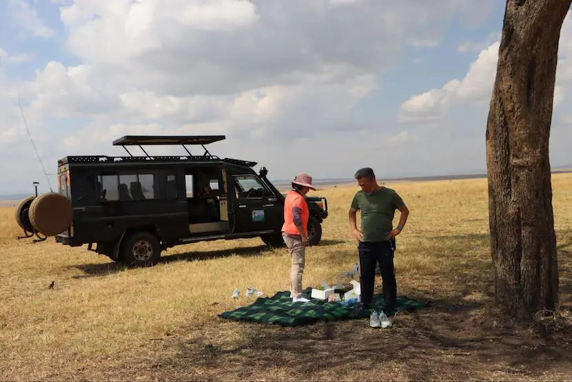 3 Days Masia Mara Safari - Itinerary, Quote, & More 10 Safari to Masai Mara - picnic lunch
