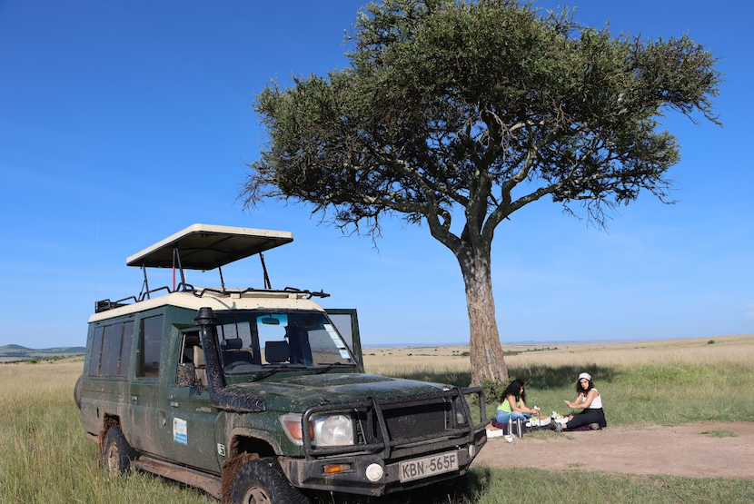 3 Days Masia Mara Safari - Itinerary, Quote, & More 13 Safari to Masai Mara - picnic lunch