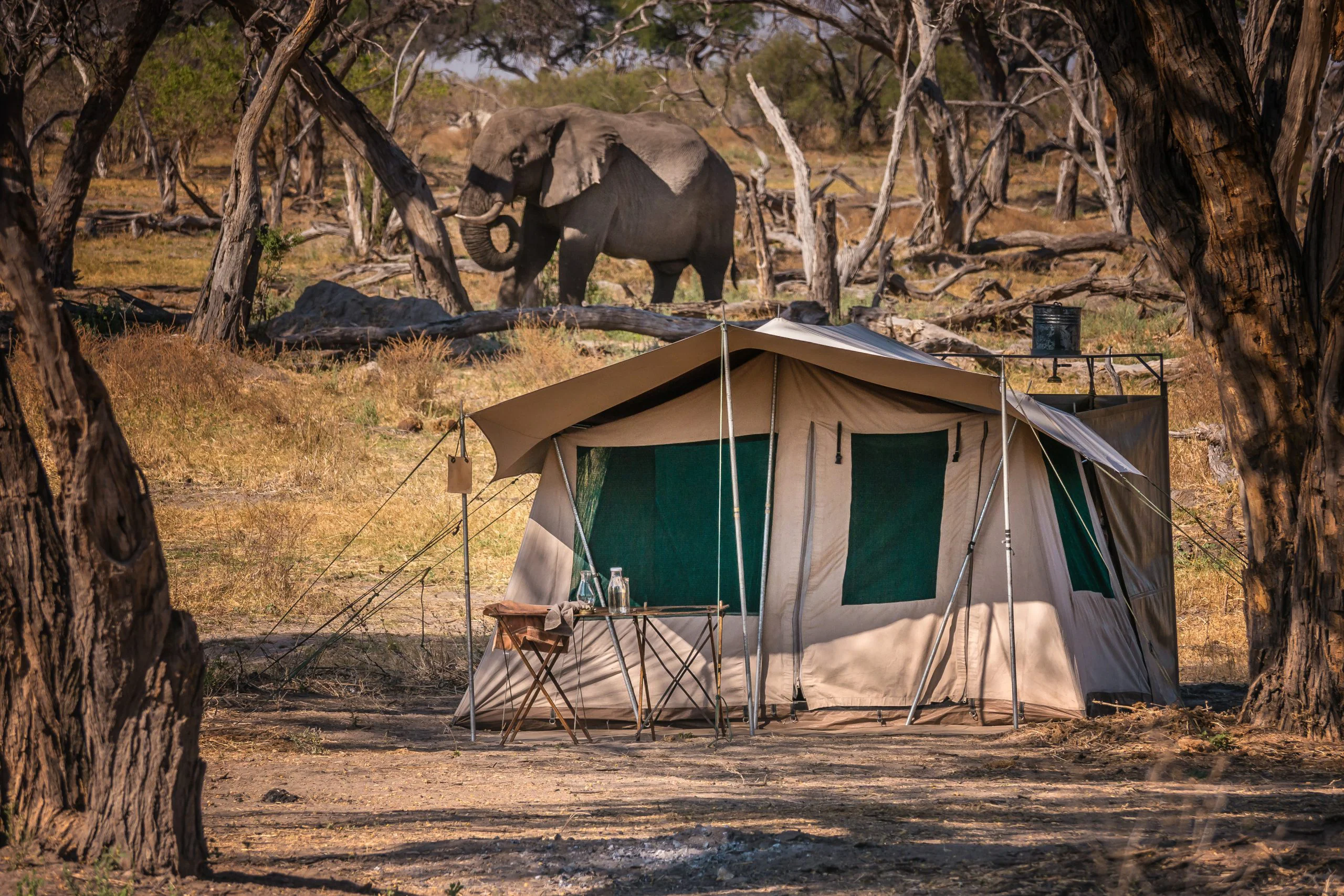 The Ultimate Guide to Africa Tours, Packages, & Destinations 34 Masaimarasafari.in Camping