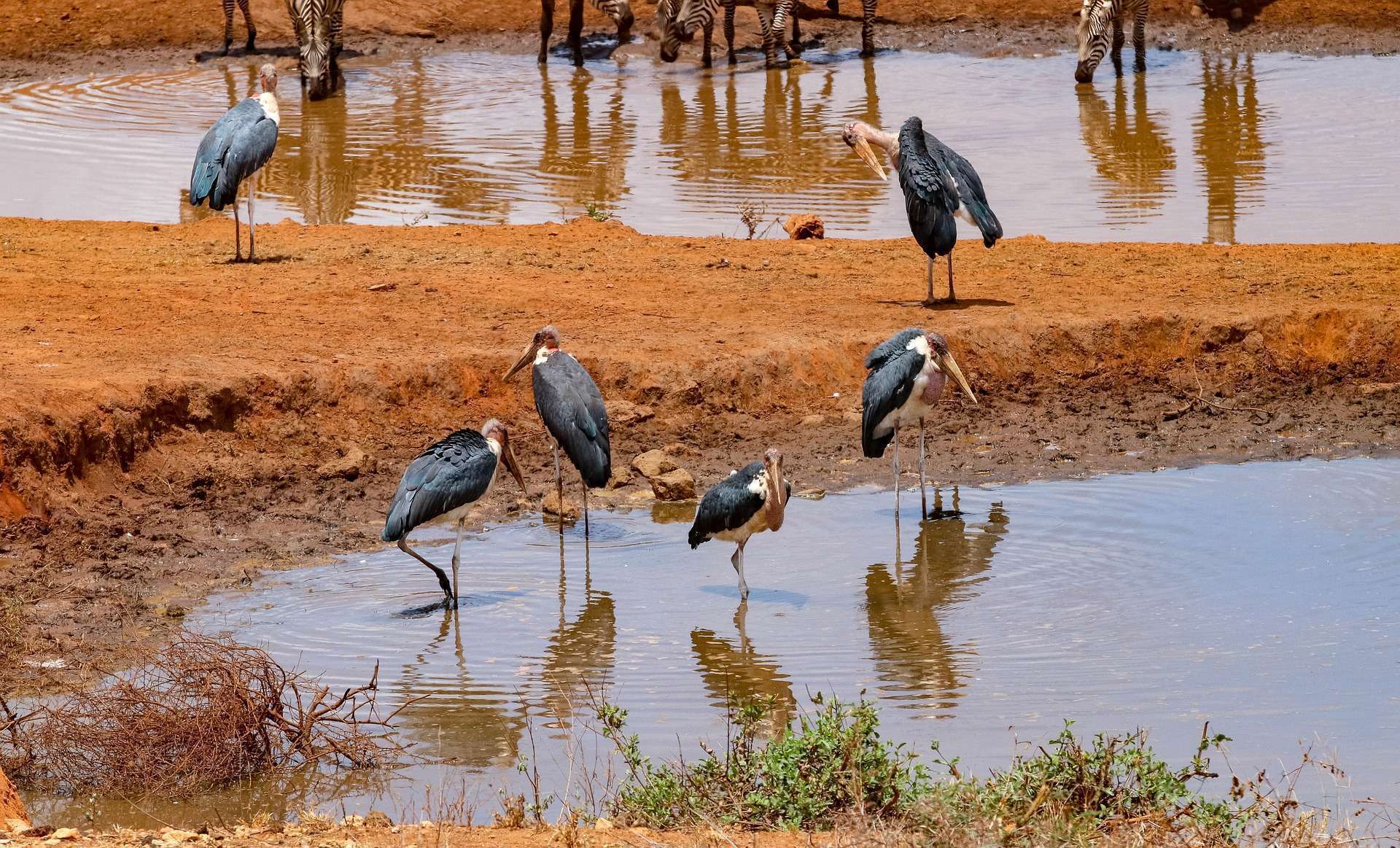 5-Day Naivasha & Masai Mara Group Tour