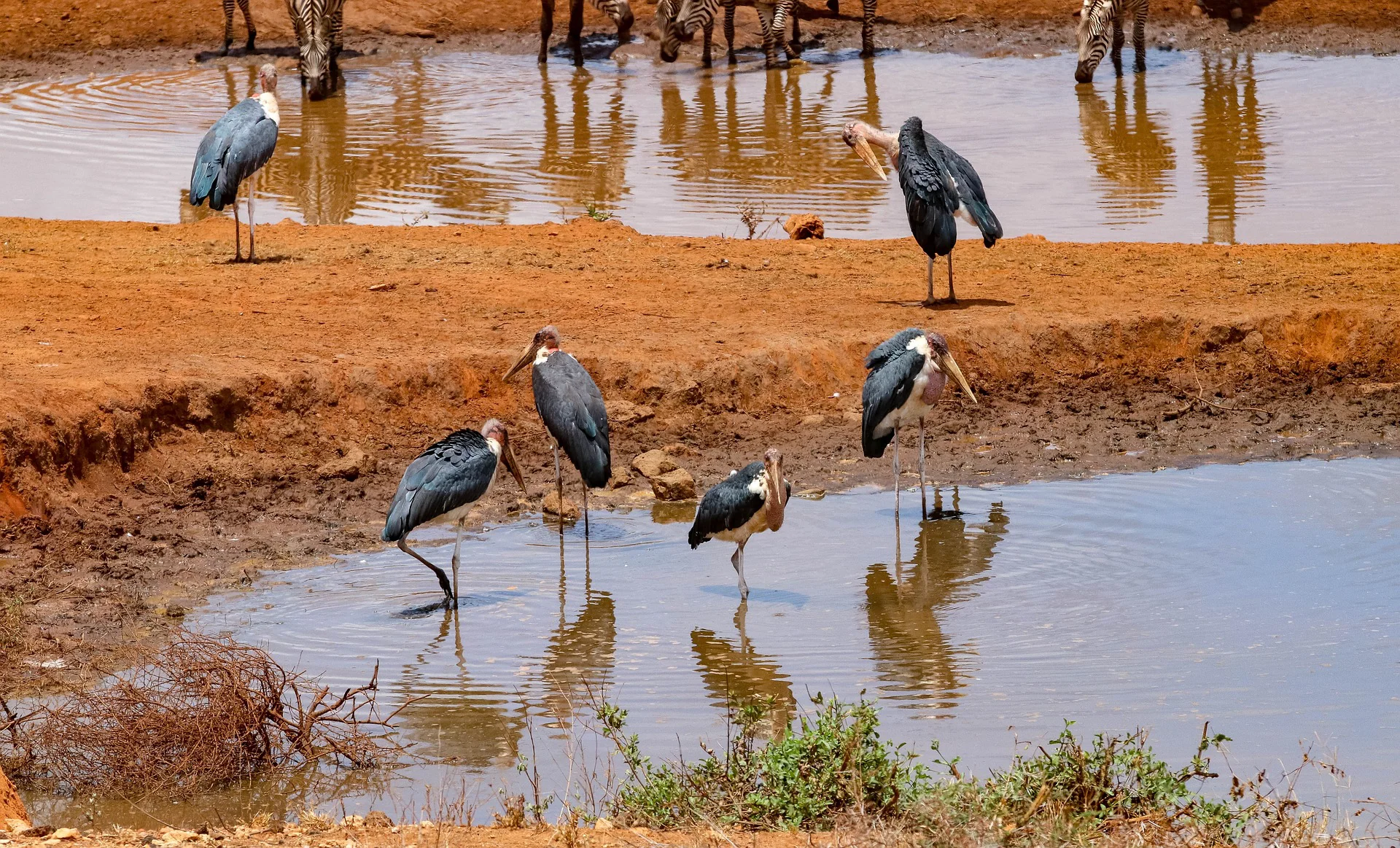 5-Day Naivasha & Masai Mara Group Tour