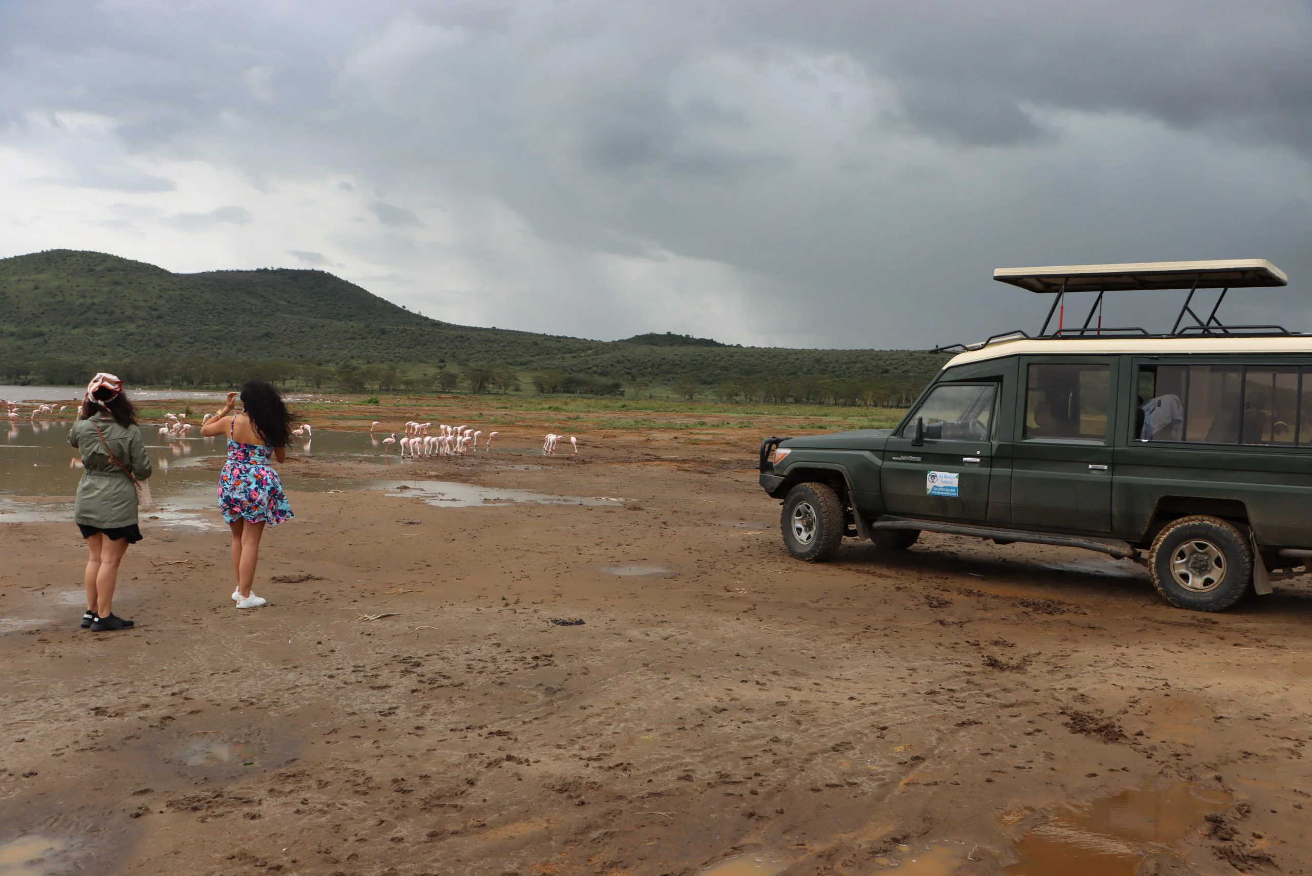 The Ultimate Guide to Safari of Africa and Packages 21 Flamingos at Lake Nakuru