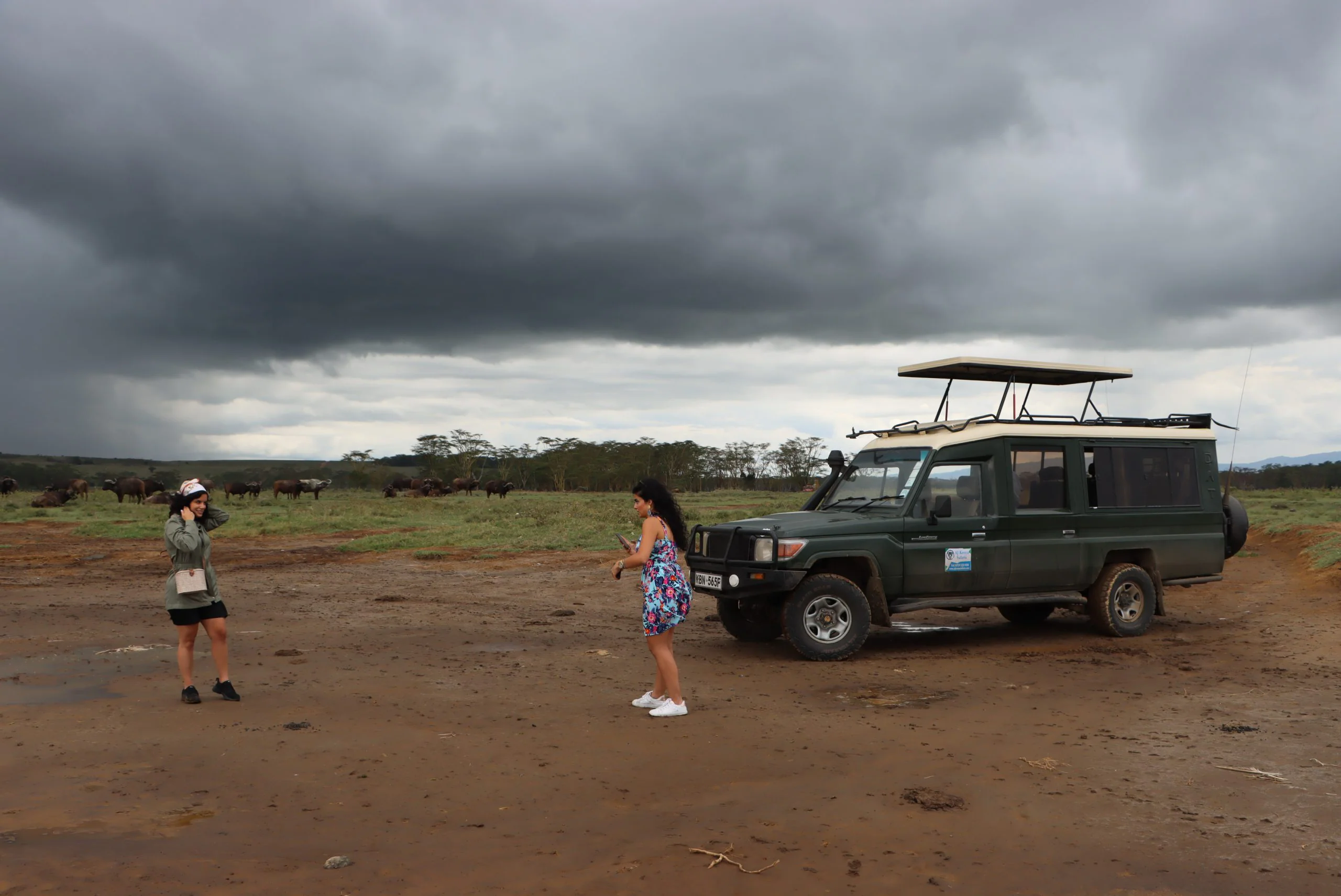 The Ultimate Guide to Africa Tours, Packages, & Destinations 20 Africa Tours - Safari Land Cruiser at Nakuru