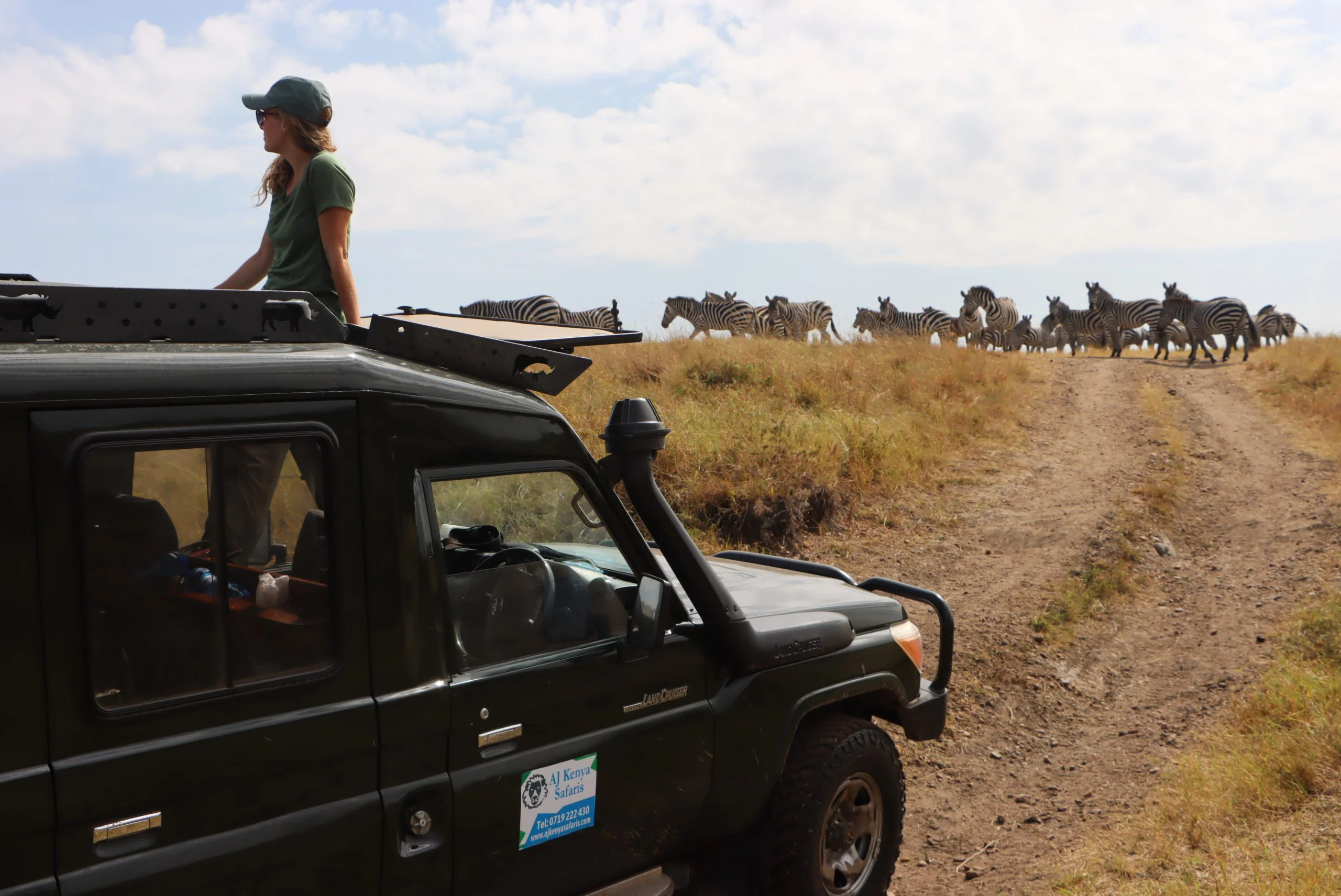 African Wildlife List, Facts, Conservation Status, & Pictures 1 African Wildlife - MasaiMaraSafari.in