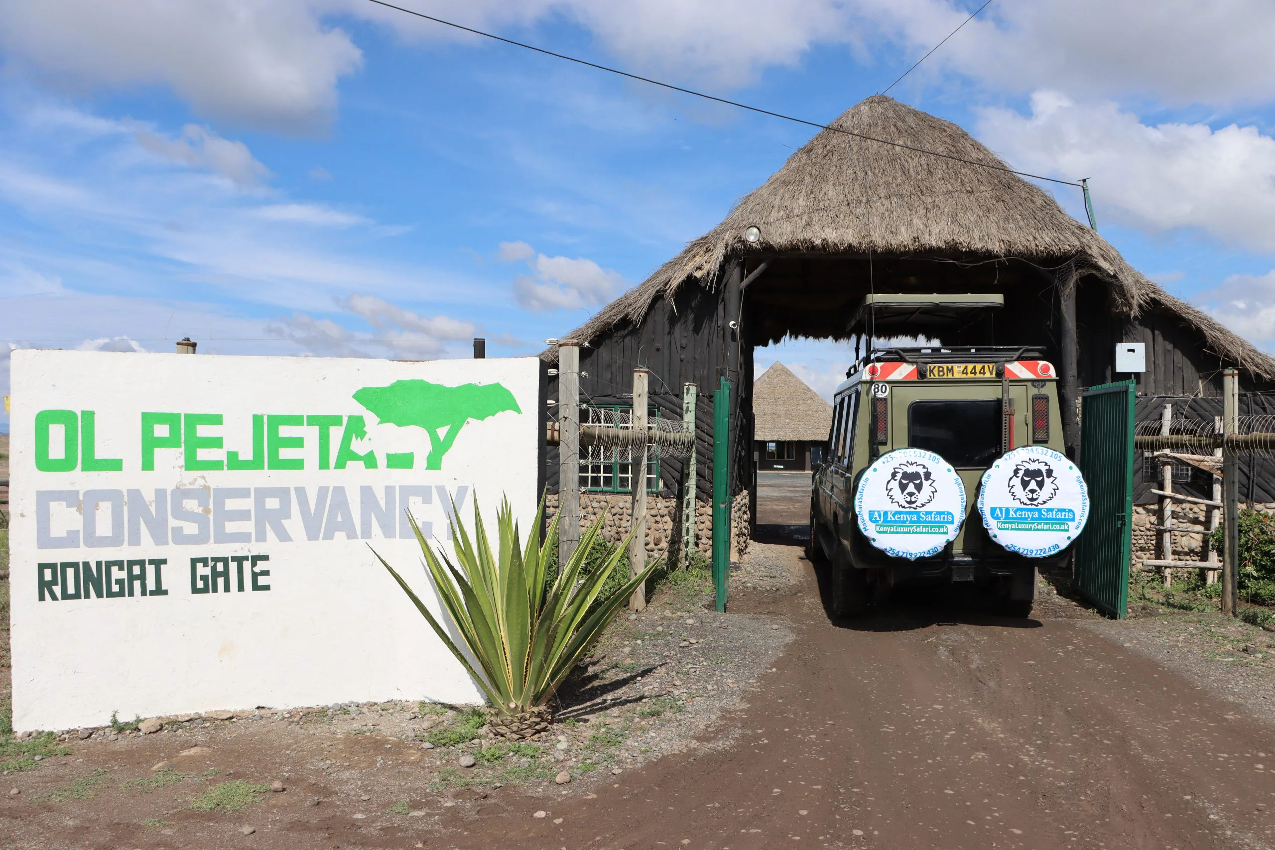 Kenya Safari Package - Top Destinations & Things to Do 24 Ol Pejeta Conservancy - Land Cruiser