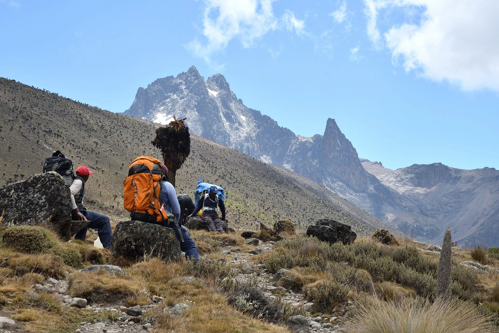 MasaiMaraSafari.in - Mt Kenya
