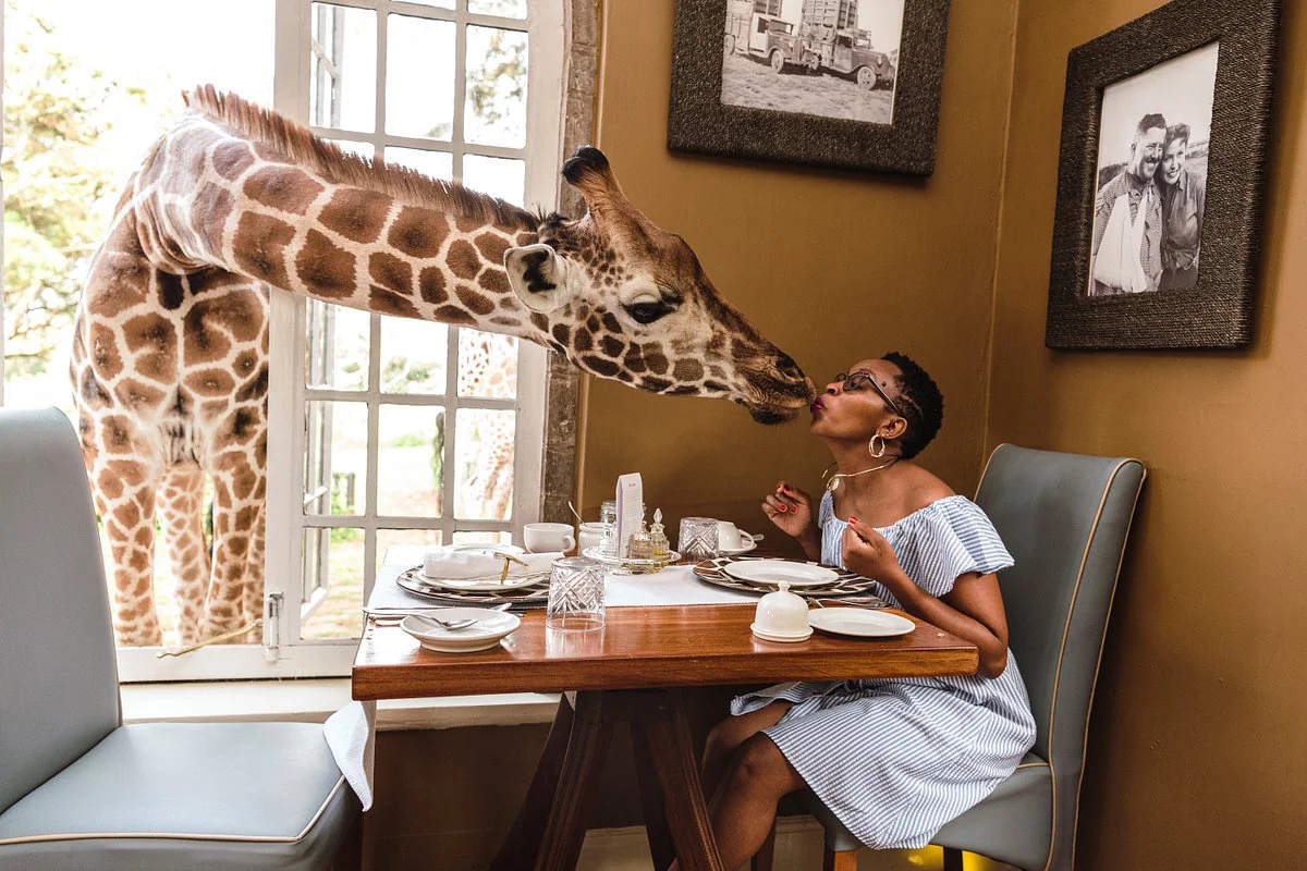 6-Day Nairobi & Masai Mara Family Tour