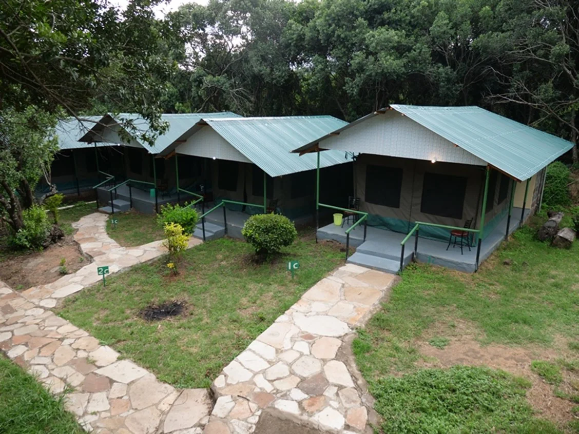 Maasai Mara National Reserve - Guide, Things to Do, Accommodation, & FAQs 23 Miti Mingi Eco Camp - Budget Camp