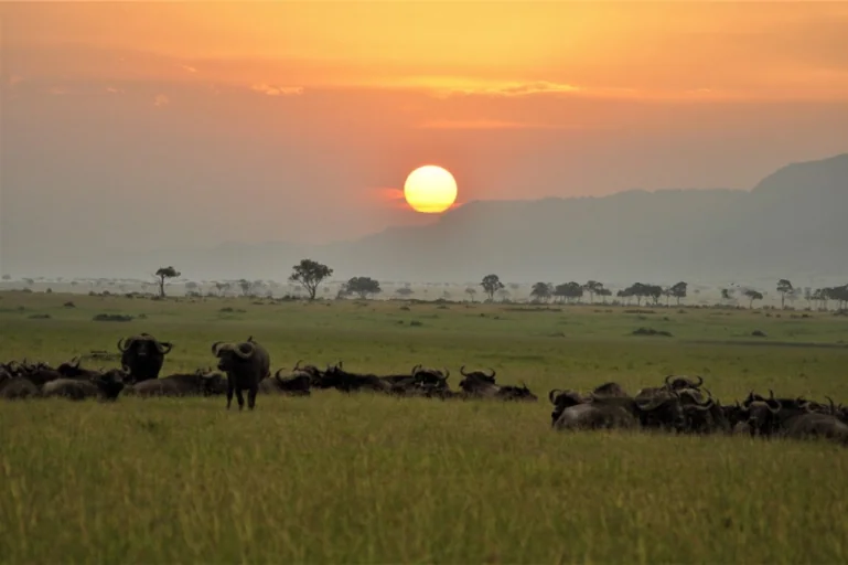 Oloololo Campsite - MasaiMaraSafari.in
