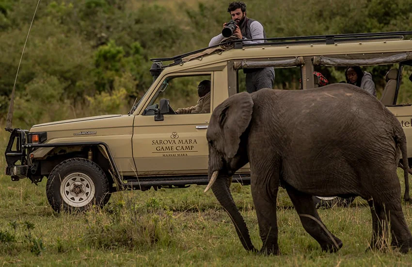 Sarova Mara Game Camp - Luxury Safari Camp in the Masai Mara 30 Photography at Sarova Mara - elephant