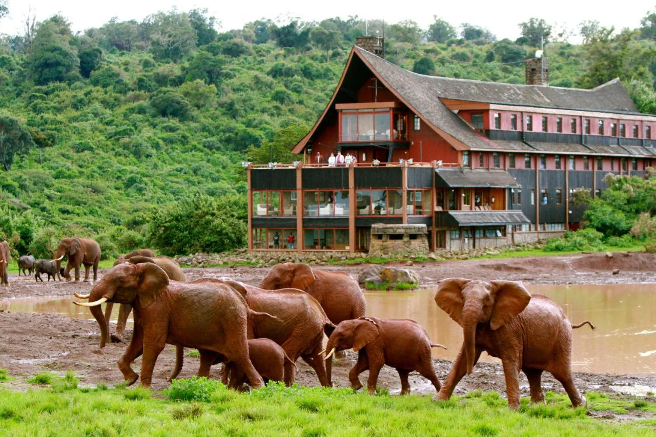 The Top 20 Best Safari Lodges and Camps in Kenya 39 MasaiMaraSafari.in - Best Safari Lodges and Camps in Kenya