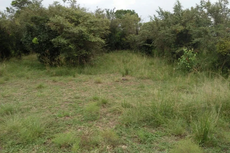 Olarro Campsite - Mara Triangle Camping