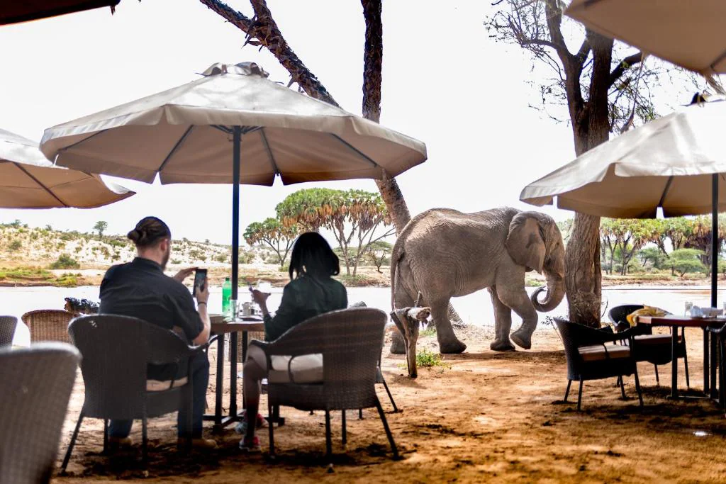 The Top 20 Best Safari Lodges and Camps in Kenya 34 MasaiMaraSafari.in - Best Safari Camps and Lodges in Kenya