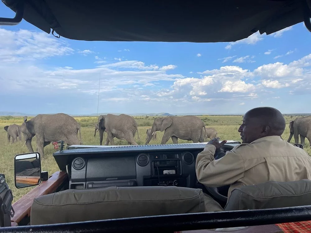 Elewana Elephant Pepper Camp Masai Mara Video Overview. 2 Evening Game Drives