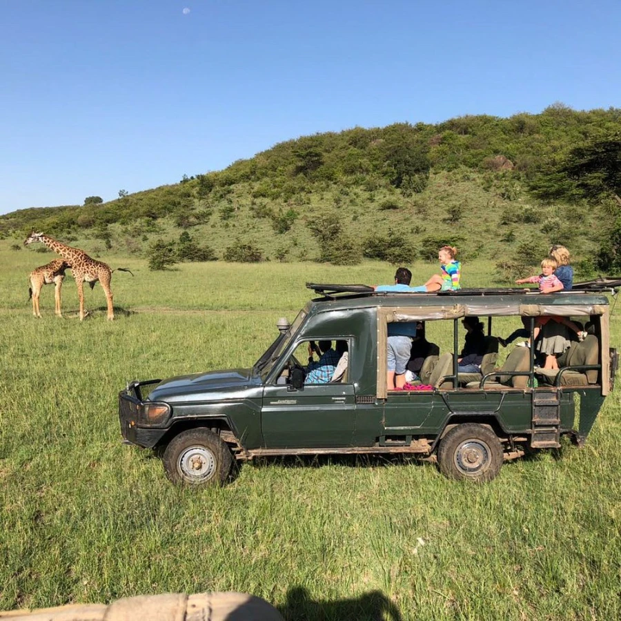 Offbeat Mara Camp Video Overview 2 Evening Game drive