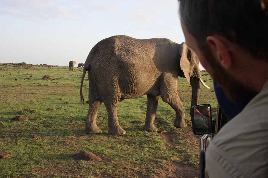 Offbeat Mara Camp Video Overview 3 Evening game drives