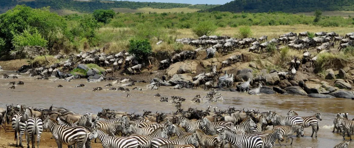 The Mara river Bank