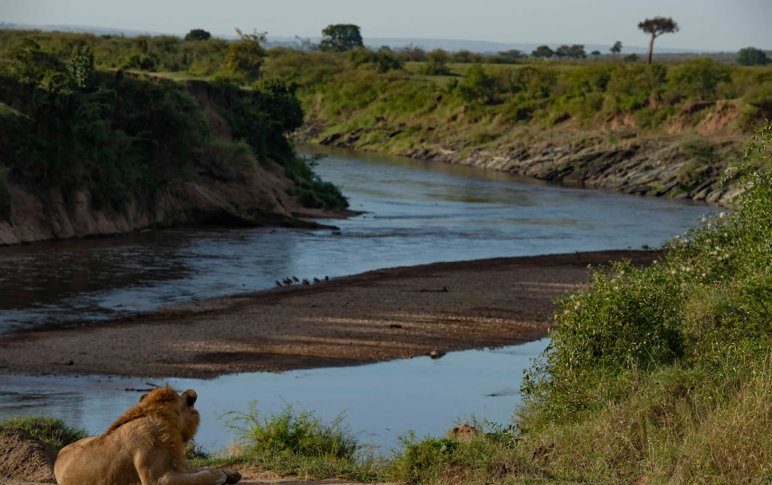 The Mara River