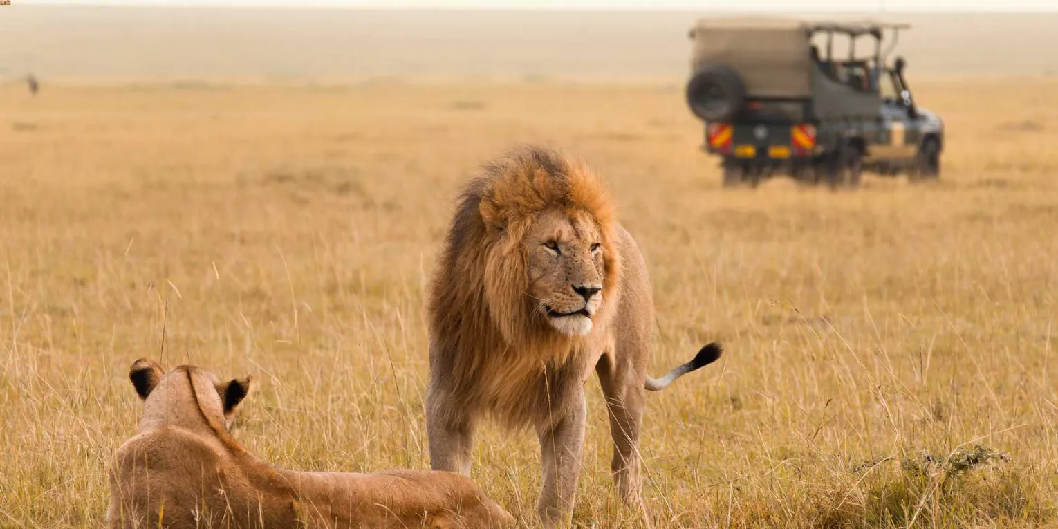 Weather and Climate in Masai Mara 3 A dry Season in the month of October