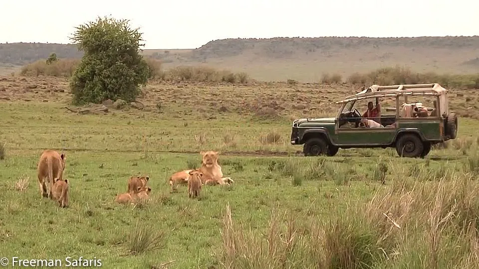 Rekero Camp Masai Mara Video Overview. 3 Game veiwing