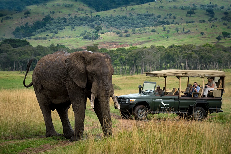 andBeyond Bateleur Camp Masai Mara Video Overview. 4 A Game drive in the mara , the great Giant