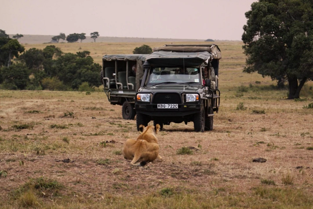 Serian The Original - Photos, Reviews & Rates 4 Game drive with the serian- the original