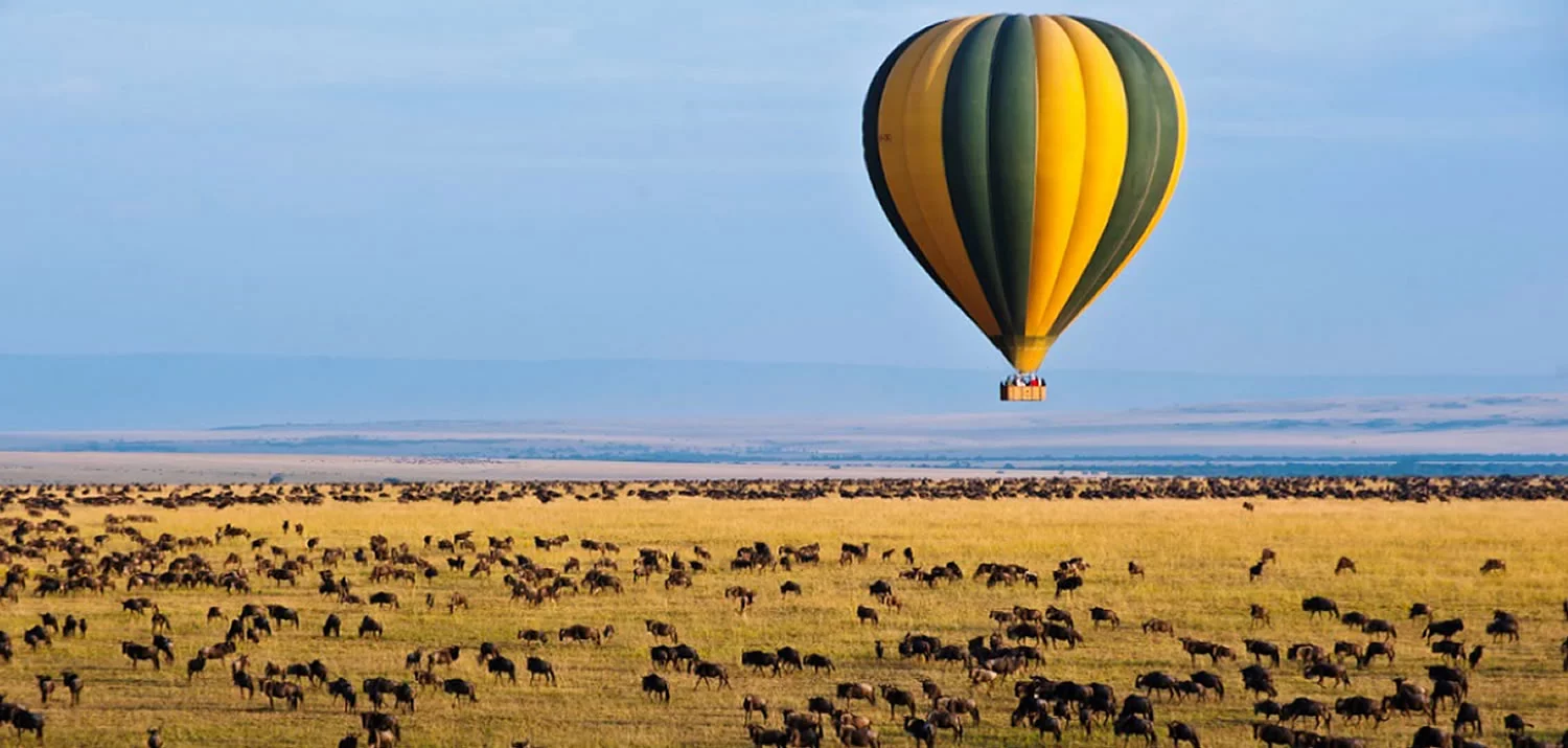Masai Mara Hot Air Balloon Safari 4 Hot air balloon safari over wildebeests grazing