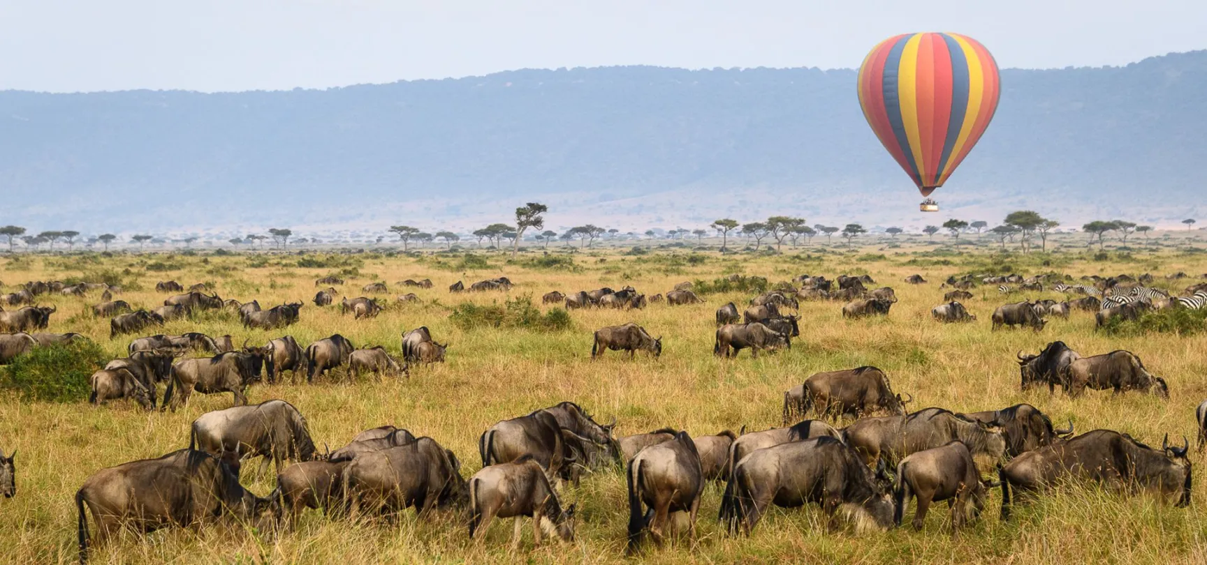 Masai Mara National Park 4 Hot Air balloon safari