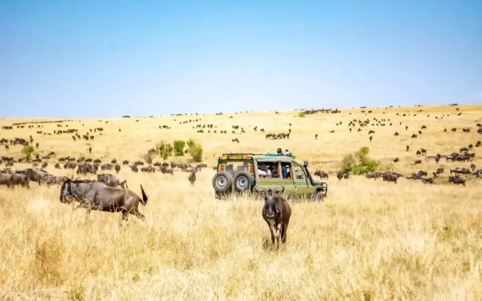 Weather and Climate in Masai Mara 4 Clear skies in the month of January