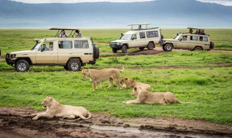 Weather and Climate in Masai Mara 5 A rainy season in the masai mara national reserve in the month of March