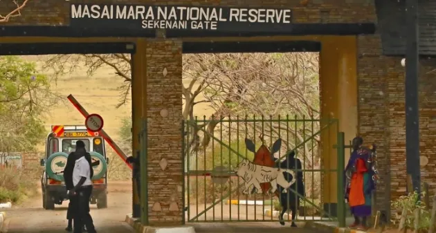 Masai Mara National Park 6 Sekenani Gate in the Masai mara