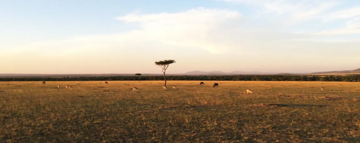 Weather and Climate in Masai Mara 6 A dry Season in the month of July