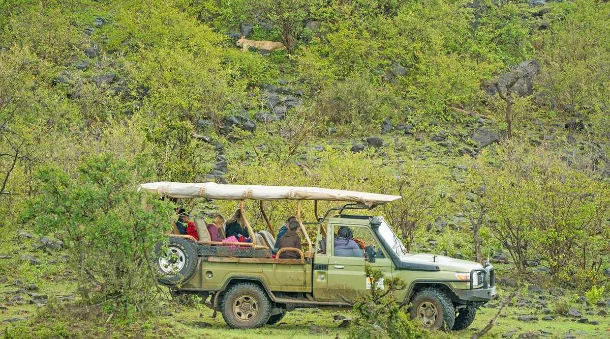 Basecamp Masai Mara Overview - Review, Photos, Rates & More 10 Game viewing at Basecamp