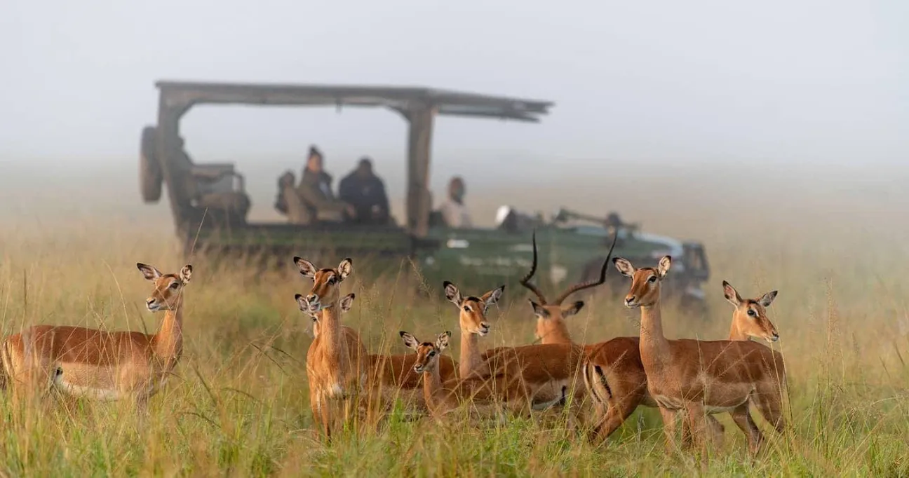 Masai Mara National Park 10 The Masai Mara conservancy