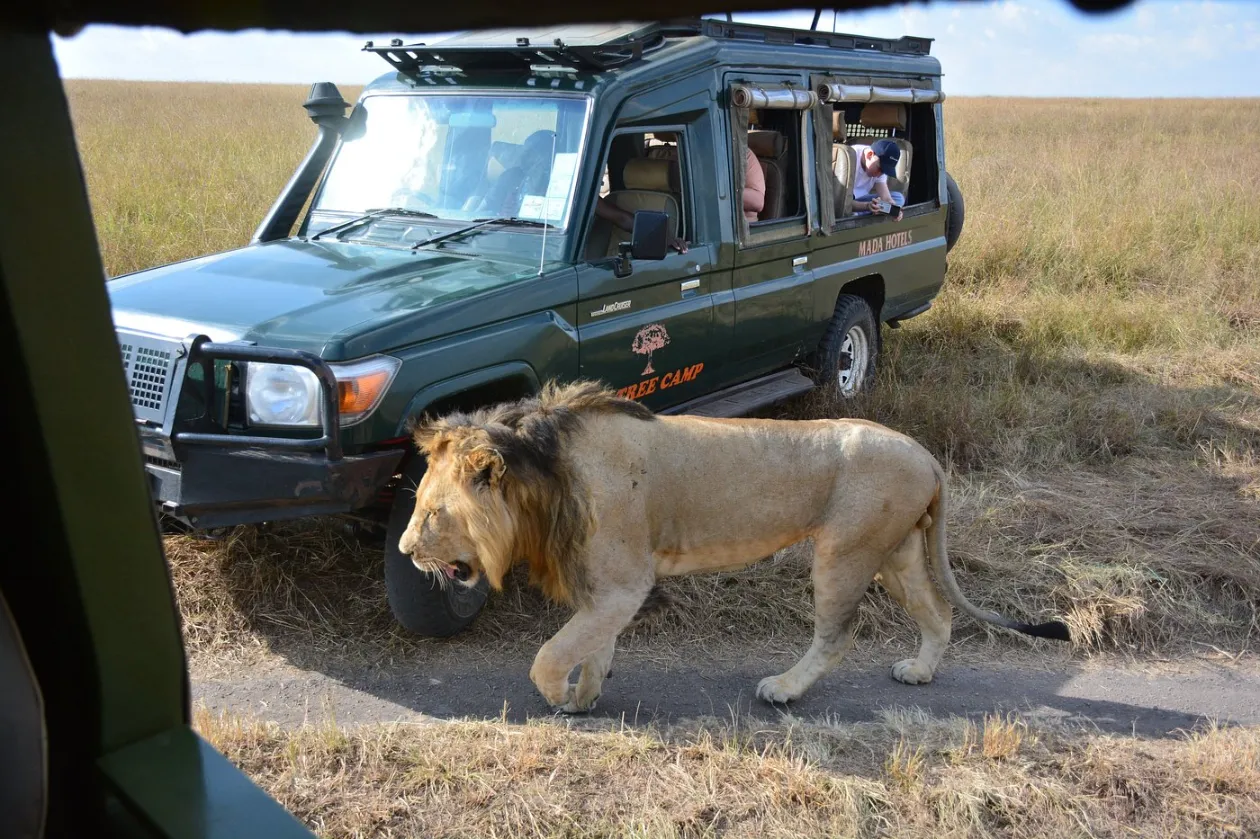 Masai Mara Wildlife 12 Game drives