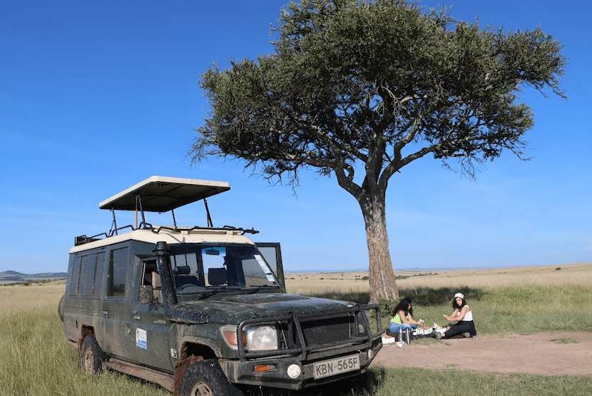 3 Days Masia Mara Safari - Itinerary, Quote, & More 13 Safari to Masai Mara - picnic lunch